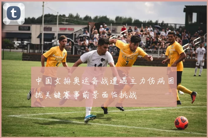 中国女排奥运备战遭遇主力伤病困扰关键赛事前景面临挑战