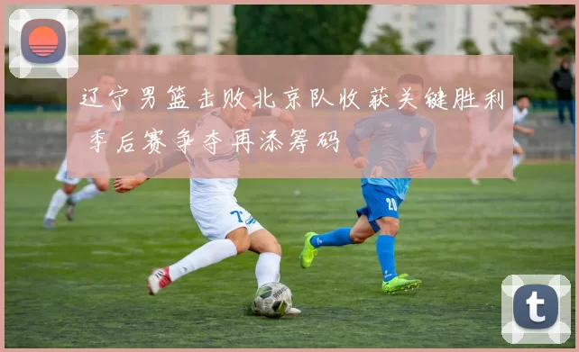 辽宁男篮击败北京队收获关键胜利 季后赛争夺再添筹码