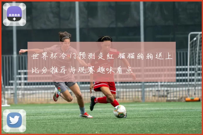 世界杯冷门预测走红 猫猫狗狗送上比分推荐与观赛趣味看点