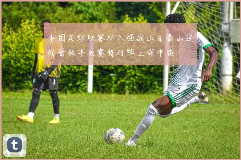 中国足球联赛杯八强战山东泰山逆转晋级半决赛将对阵上海申花