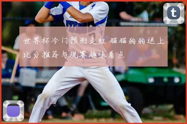 世界杯冷门预测走红 猫猫狗狗送上比分推荐与观赛趣味看点