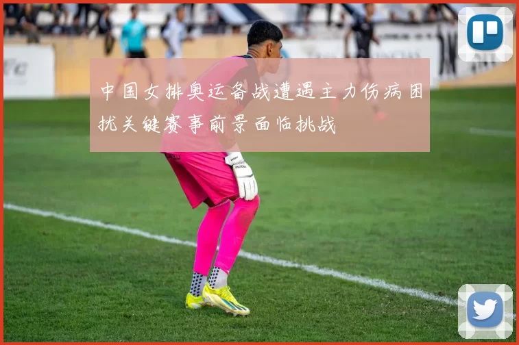 中国女排奥运备战遭遇主力伤病困扰关键赛事前景面临挑战