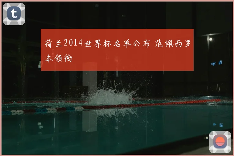荷兰2014世界杯名单公布 范佩西罗本领衔