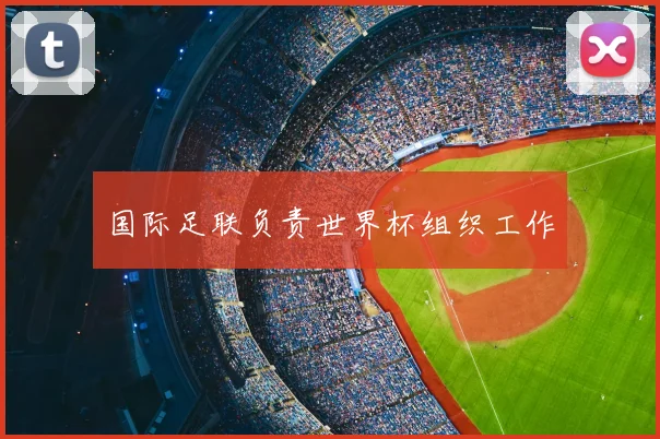 国际足联负责世界杯组织工作
