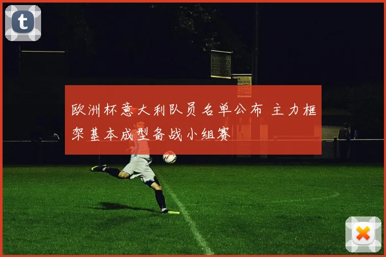 欧洲杯意大利队员名单公布 主力框架基本成型备战小组赛