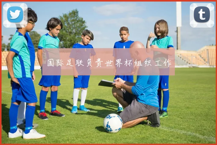 国际足联负责世界杯组织工作