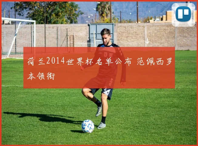 荷兰2014世界杯名单公布 范佩西罗本领衔