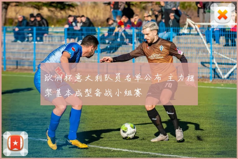 欧洲杯意大利队员名单公布 主力框架基本成型备战小组赛